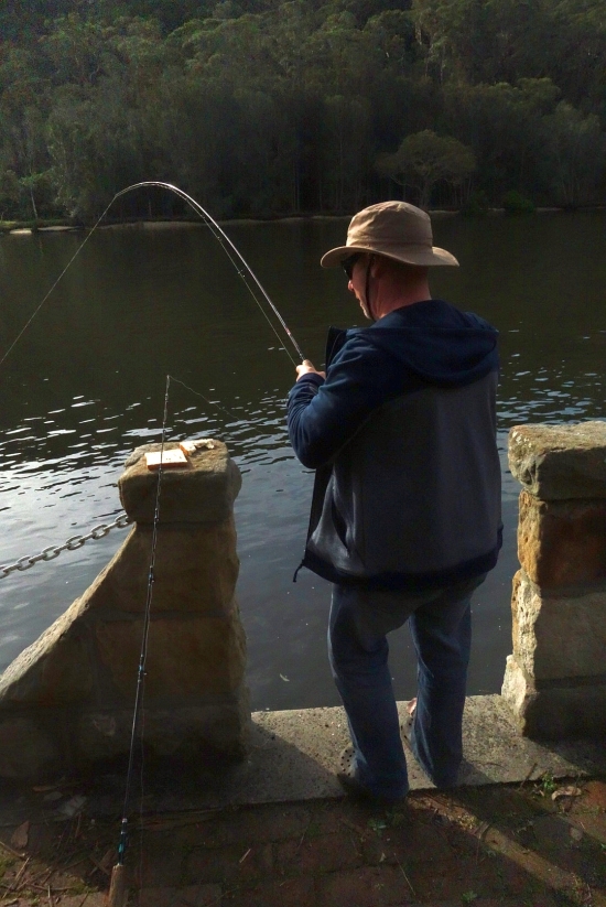 Report: Backyard bream